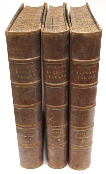 Böcker; von Wright, 'Svenska Fåglar' 3 halvfranska folioband, _1706a_8d842a725bccdf9_lg.jpeg