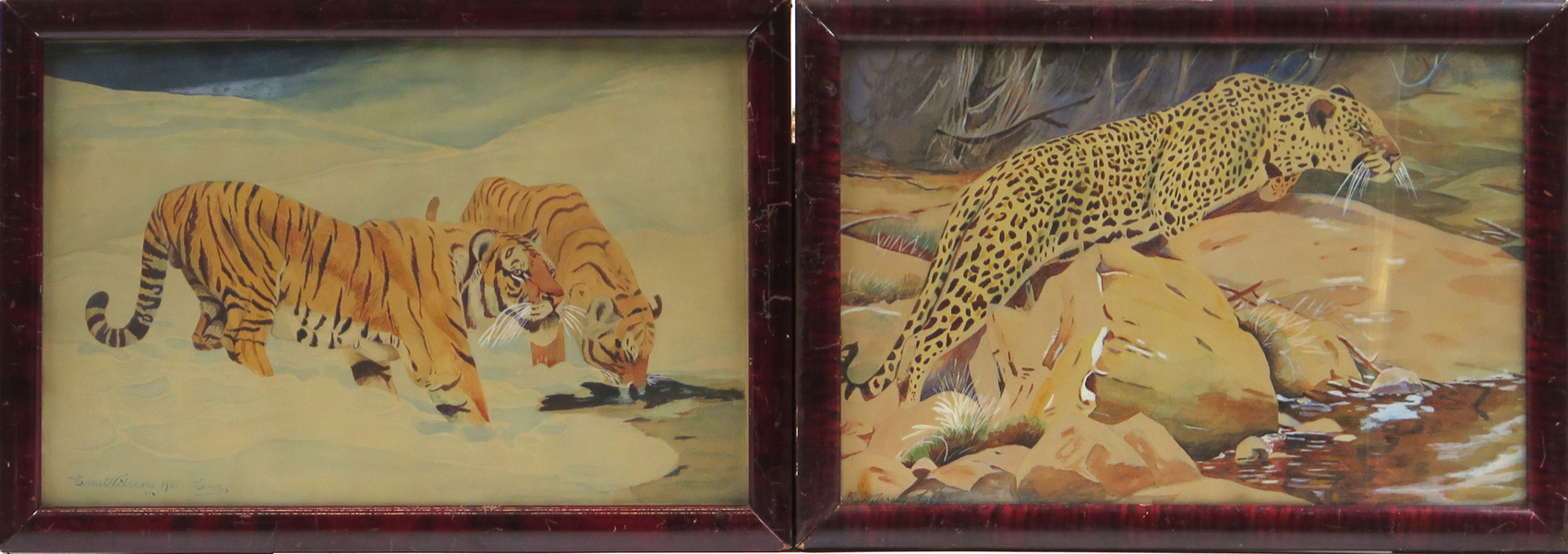 Kuhnert, Wilhelm, kopia efter, akvareller, 1 par, "Manchurisk tiger" respektive "Leopard", signerade Ernst Nilsson, synlig pappersstorlek 28 x 42 cm_26984a_lg.jpeg