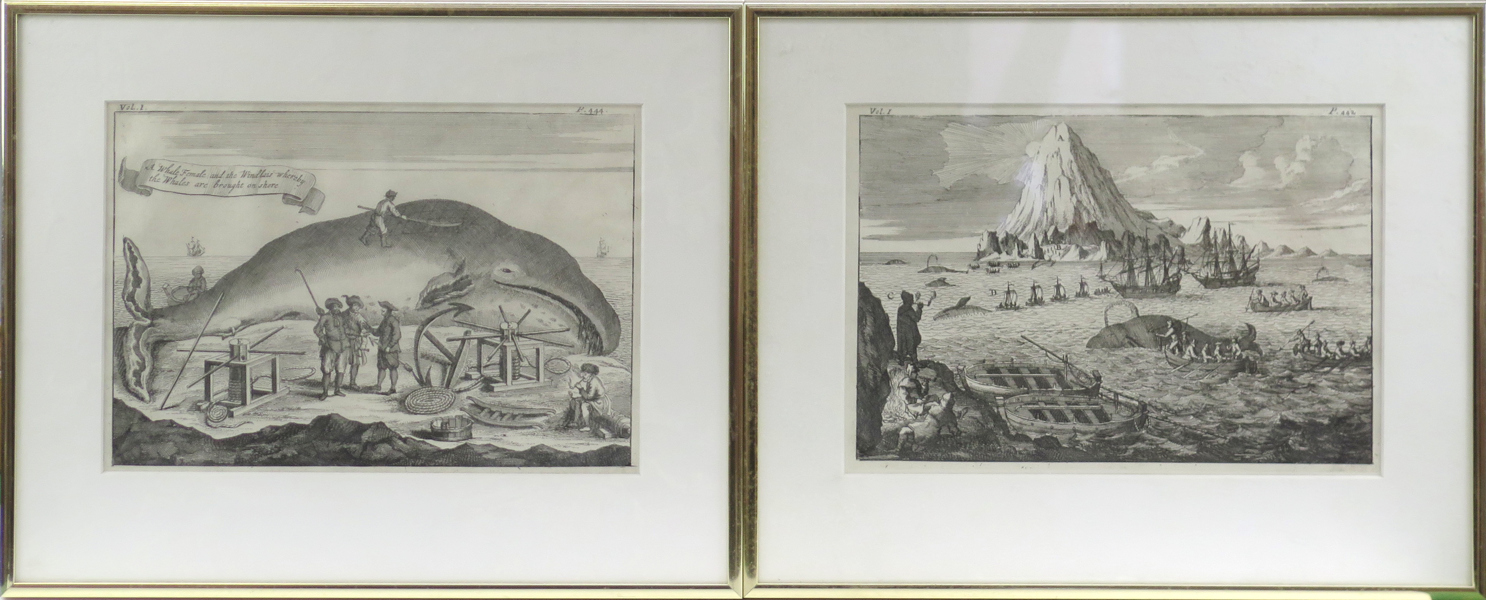 Churchill, John & Awnsham, kopparstick 2 st, valfångst, ur Travel... 1744, synlig pappersstorlek 18 x 25 cm_29662a_lg.jpeg