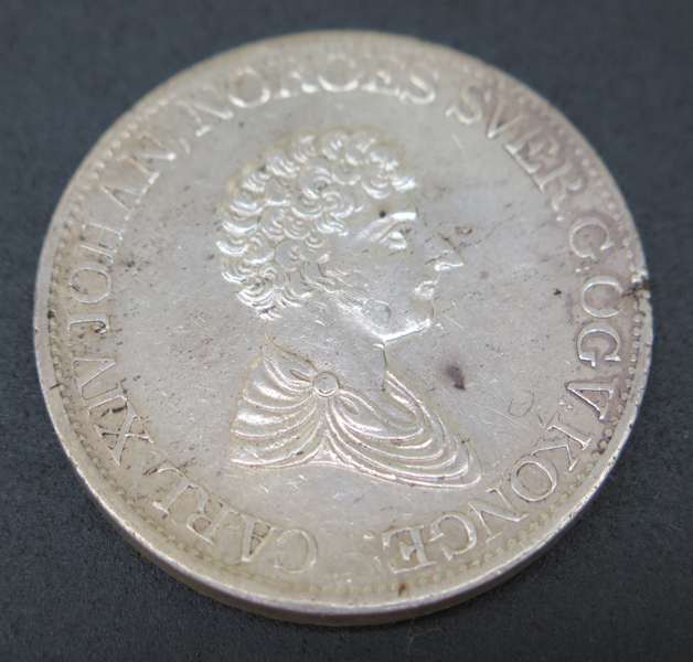 Silvermynt, 1 Speciedaler (9 1/4 Stycken, 1 Mark Fin Silver) Karl XIV Johan, Norge 1834, plantsspricka_29822a_8db7ba4aec2899e_lg.jpeg