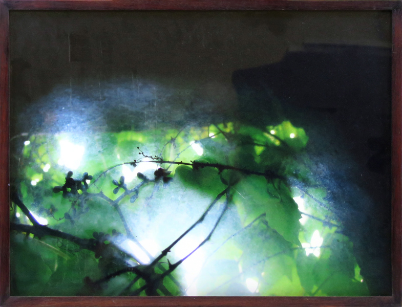 Lund, Birgitta, Digital C-print, "In transit (Green ivy)", a tergo signerad, daterad 2005 och numrerad 1/8, 45 x 60