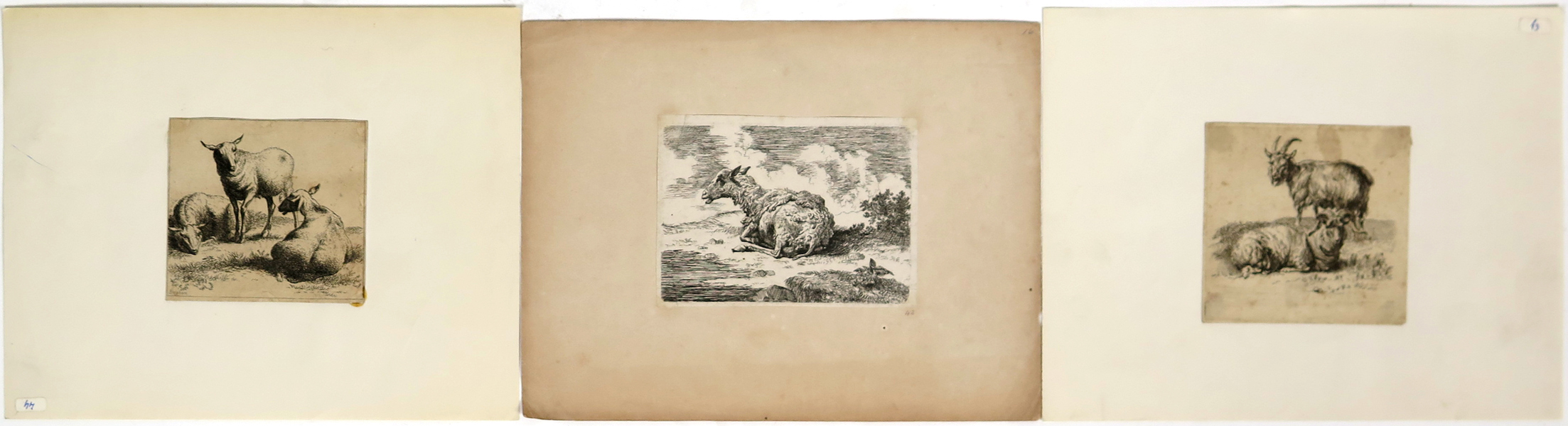 Berchem, Nicolaes, etsningar, 3 st, får och getter, största 10 x 14 cm, möjligen senare avdrag_31034a_lg.jpeg
