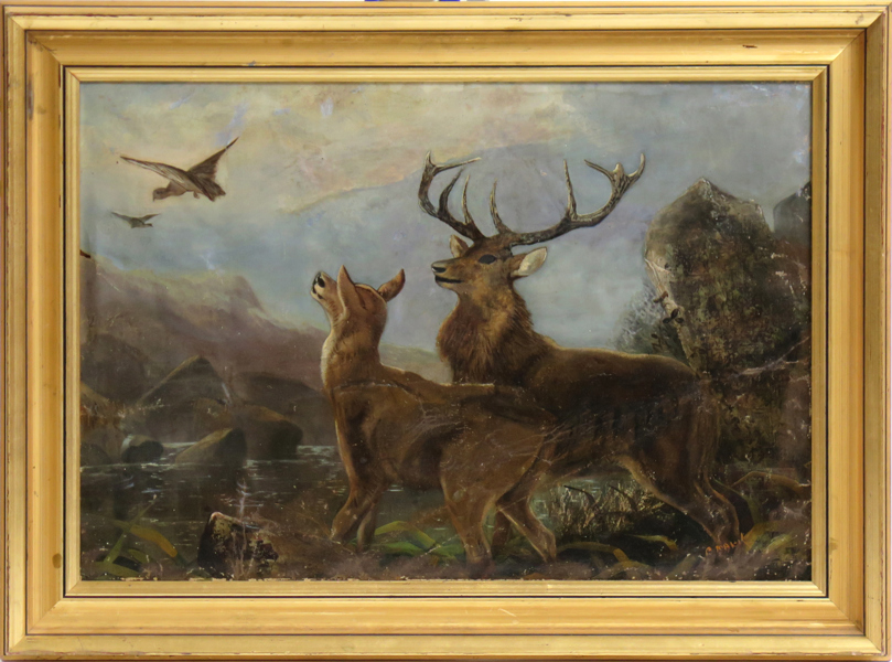 Okänd engelsk konstnär, sekelskiftet 1900, olja, kronhjortar och ripor, signerad .. Mark ?, 45 x 65 cm, retuscher och lagningar
