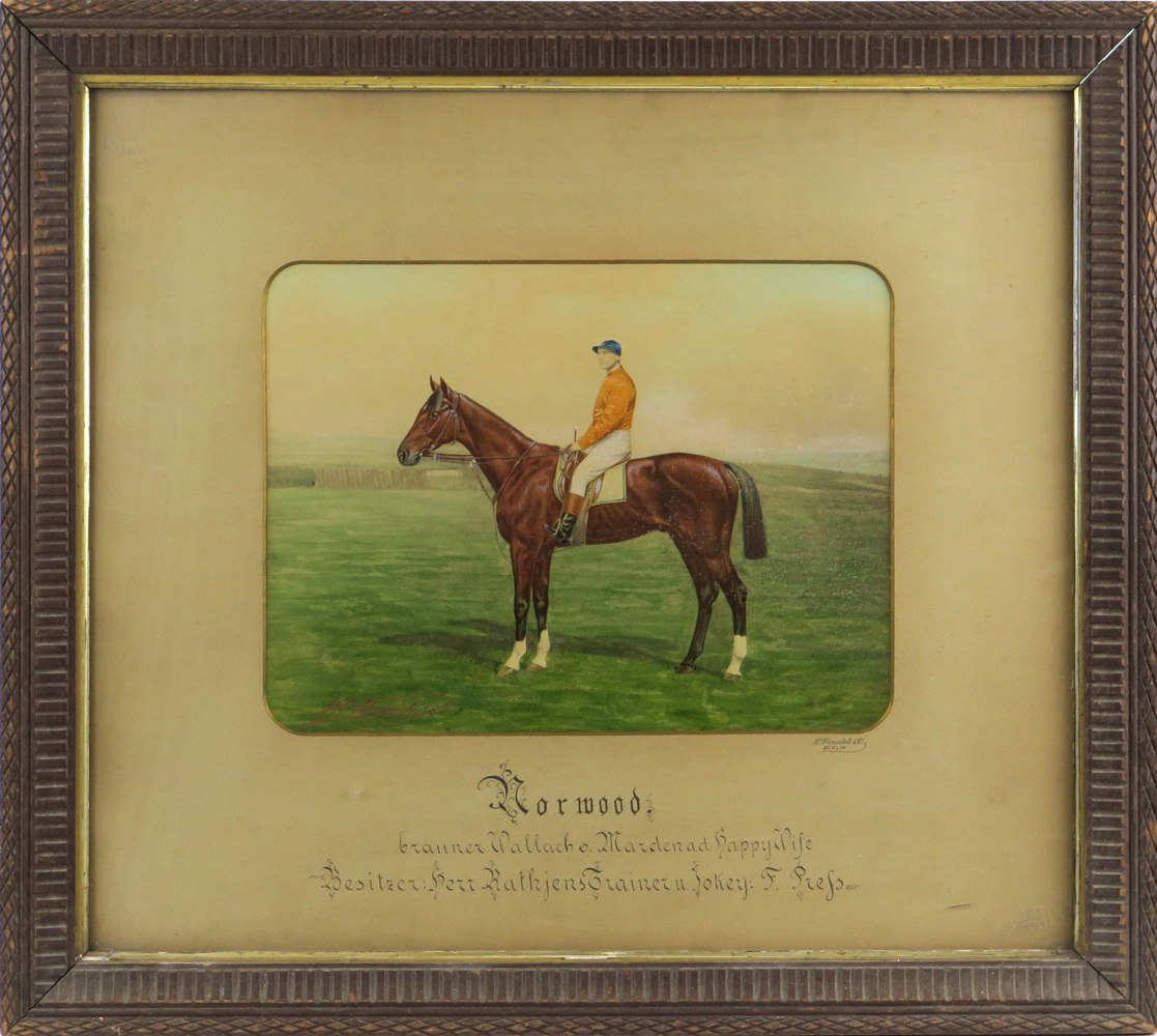 Schnaebeli heinrich fotografi handkolorerat norwood auktion